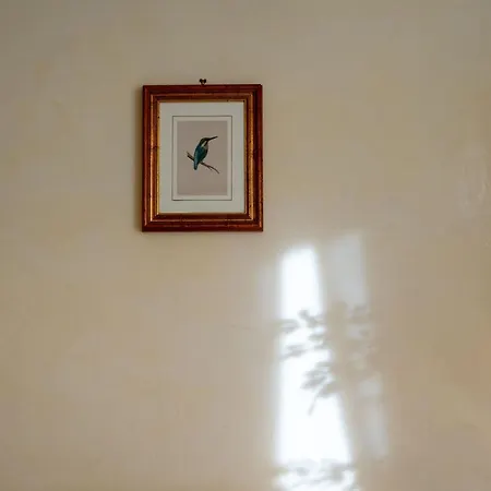 Ampio Con Vinili In Centro Storico Apartamento